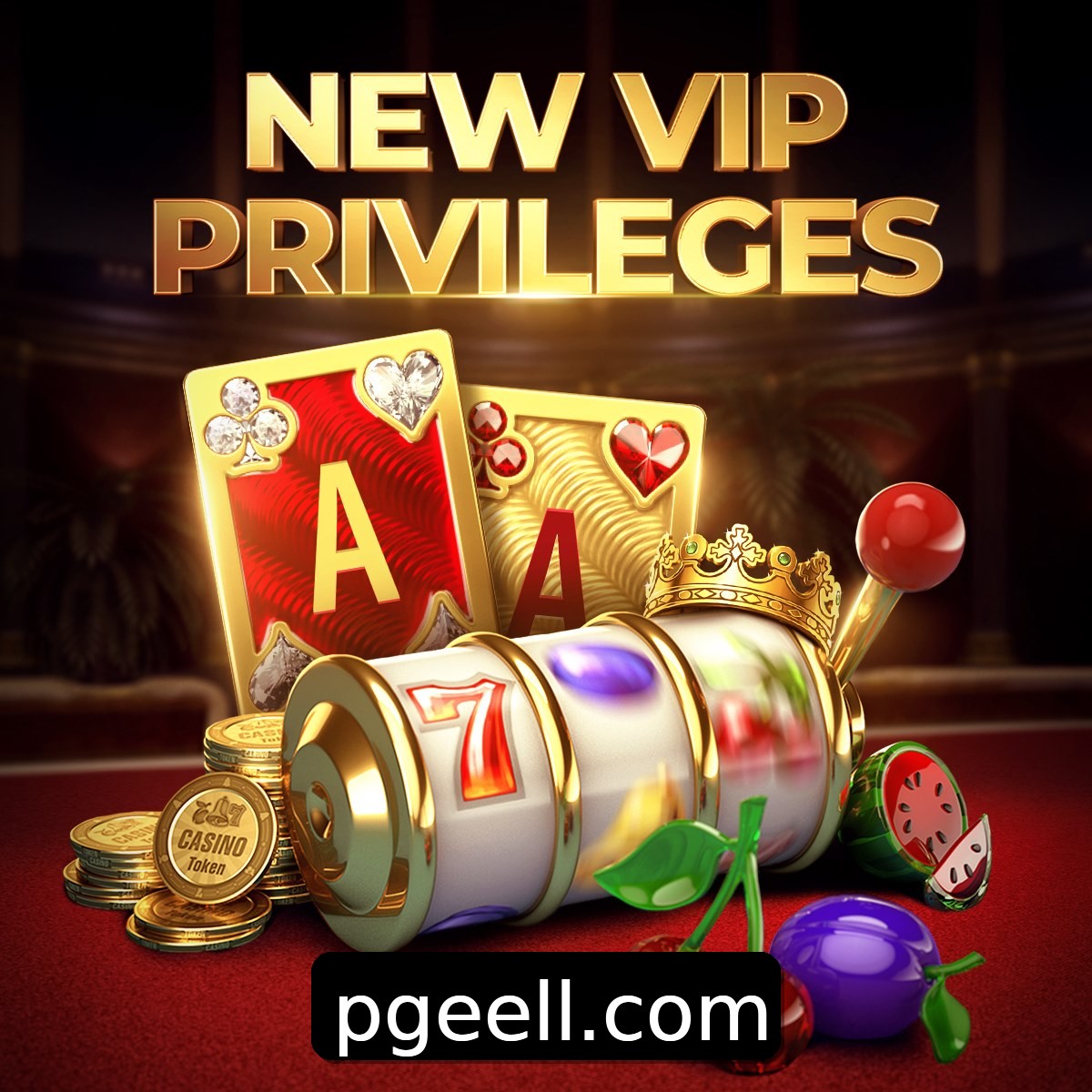 Programa VIP eell